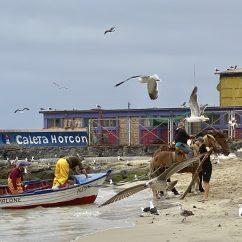 Chile